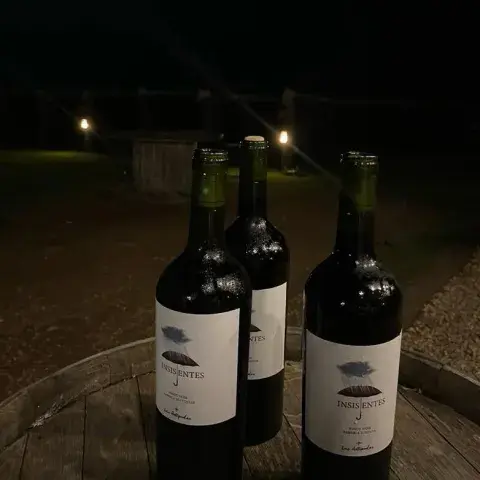 Viñedo en Junín, Buenos Aires Viñedo en Junín, Buenos Aires