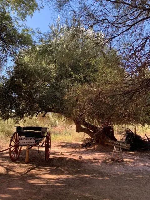 La Ruta del Adobe en Catamarca: 50 kilómetros de barro, historia y capillitas de ensueño La Ruta del Adobe en Catamarca: 50 kilómetros de barro, historia y capillitas de ensueño