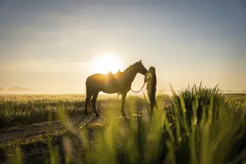 Constelá con caballos