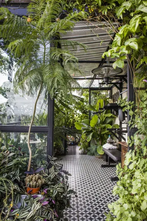 El resguardo del cerramiento hizo que las especies tropicales se dieran particularmente bien. En medio de la jungla urbana, una mesa y sillas antiguas ofrecen un rincón de lectura o contemplación.