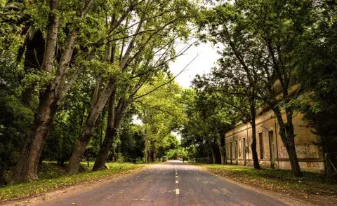 Ni Lobos ni Mercedes, el pueblito rural cerca de la ciudad de Buenos Aires ideal para una escapada por Semana Santa Ni Lobos ni Mercedes, el pueblito rural cerca de la ciudad de Buenos Aires ideal para una escapada por Semana Santa