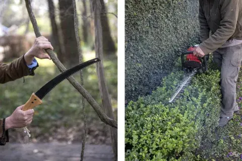 Podar no es sólo cortar —es acompañar la vida del jardín, equilibrar sus formas y renovar su energía natural