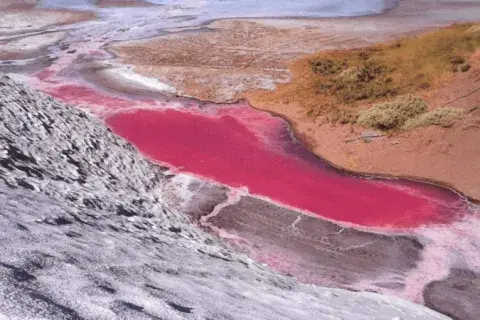Estamos hablando de salinas impactantes por el color blanco de su superficie con una relevancia histórica indiscutida. Estamos hablando de salinas impactantes por el color blanco de su superficie con una relevancia histórica indiscutida.
