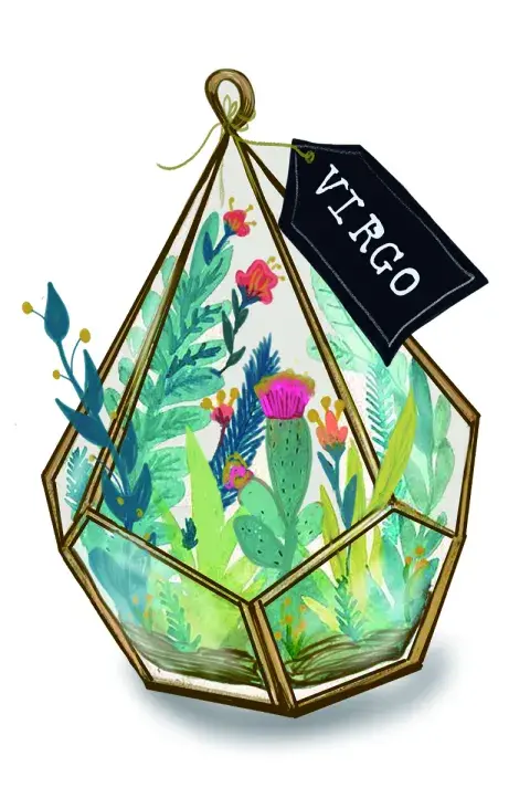Virgo. Virgo.