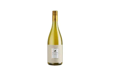 La Celia Pioneer Chardonnay (Paraje Altamira, Mendoza) La Celia Pioneer Chardonnay (Paraje Altamira, Mendoza)