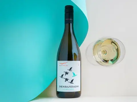 Kaiken Desbandado Chardonnay 2023 (Agrelo, Mendoza). Kaiken Desbandado Chardonnay 2023 (Agrelo, Mendoza).