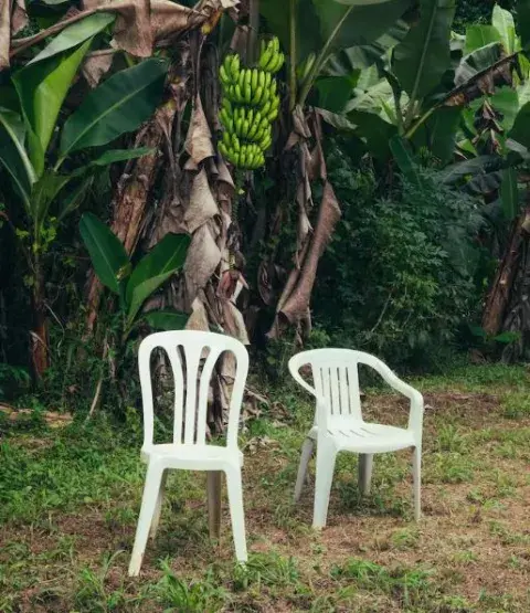 Las icónicas sillas de Bad Bunny en Puerto Rico Las icónicas sillas de Bad Bunny en Puerto Rico