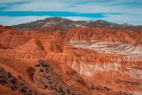 Cusi Cusi, en Jujuy Cusi Cusi, en Jujuy