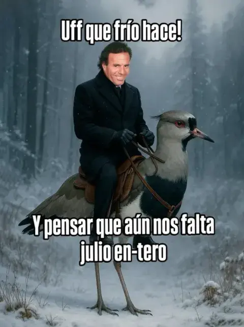 Los memes de Julio sobre la ola del frío polar Los memes de Julio sobre la ola del frío polar