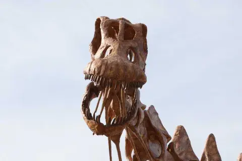 Patagotitan fue descubierto en 2014 en la estancia La Flecha, Chubut, por los paleontólogos José Luis Carballido, Diego Pol y el equipo del MEF Patagotitan fue descubierto en 2014 en la estancia La Flecha, Chubut, por los paleontólogos José Luis Carballido, Diego Pol y el equipo del MEF