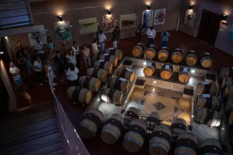  Familia Schroeder: vino, arte y experiencias para todos los sentidos