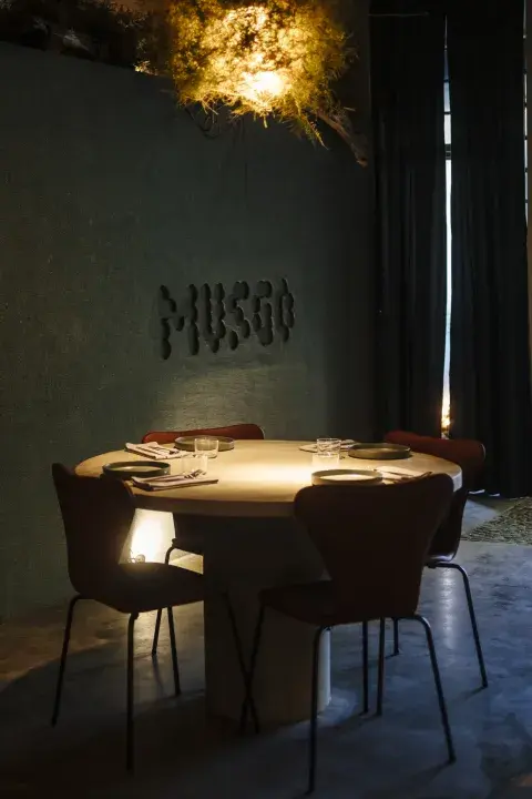 Musgo: una fusión inesperada que funciona Musgo: una fusión inesperada que funciona