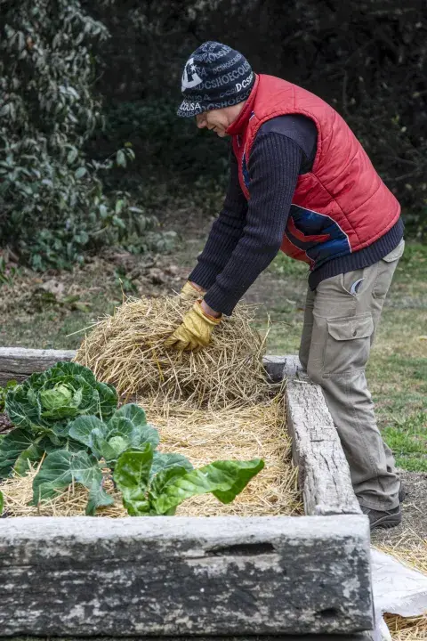 Un suelo bien cubierto es clave para que las raíces no sufran. El mulching es el equivalente a ponerle un buen abrigo a tus plantas Un suelo bien cubierto es clave para que las raíces no sufran. El mulching es el equivalente a ponerle un buen abrigo a tus plantas
