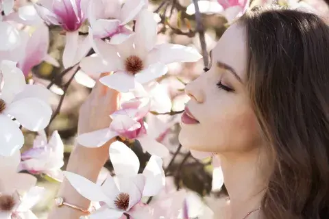 Cada flor tiene un significado y representa un razgo en la personalidad de las personas Cada flor tiene un significado y representa un razgo en la personalidad de las personas