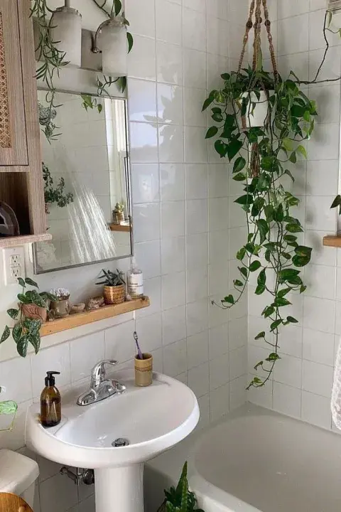 banos-plantas_4.jpeg banos-plantas_4.jpeg