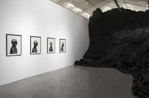 La instalación es una una enorme piel metálica arrugada, negra, transitable. Se puede ver por dentro sin usar rayos X. La instalación es una una enorme piel metálica arrugada, negra, transitable. Se puede ver por dentro sin usar rayos X.