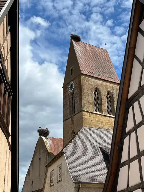 eguisheim_4.jpg