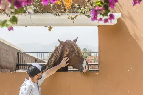 La Hacienda Los Ficus era una casa de fin de semana familiar y desde hace poco abre las puertas al público.