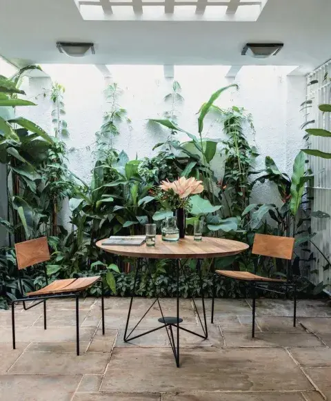 Las plantas trepadoras o los jardines verticales, aportan verde sin perder metros Las plantas trepadoras o los jardines verticales, aportan verde sin perder metros