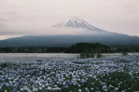 Nosotros no queríamos perdernos la oportunidad de verlo de cerca y decidimos alquilar una campervan y recorrer Fuji Five Lakes. Nosotros no queríamos perdernos la oportunidad de verlo de cerca y decidimos alquilar una campervan y recorrer Fuji Five Lakes.