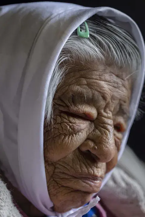 Ofelia, como las demás retratadas, cuenta su historia con su expresión. Ofelia, como las demás retratadas, cuenta su historia con su expresión.