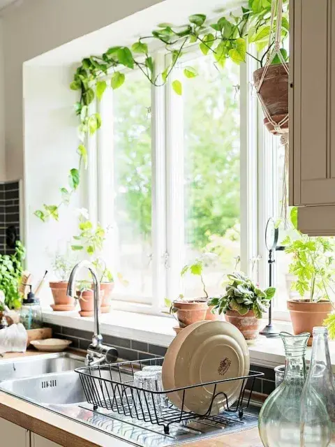El potus no es solo una planta: es un objeto deco vivo. El potus no es solo una planta: es un objeto deco vivo.