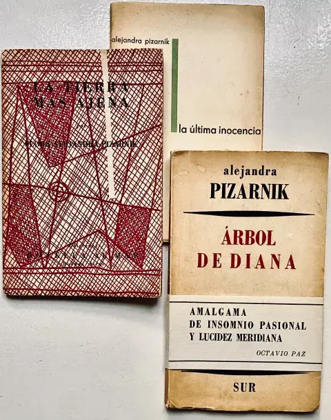 La Feria del Libro Antiguo de Buenos Aires 2025 celebra a las mujeres de la literatura argentina La Feria del Libro Antiguo de Buenos Aires 2025 celebra a las mujeres de la literatura argentina