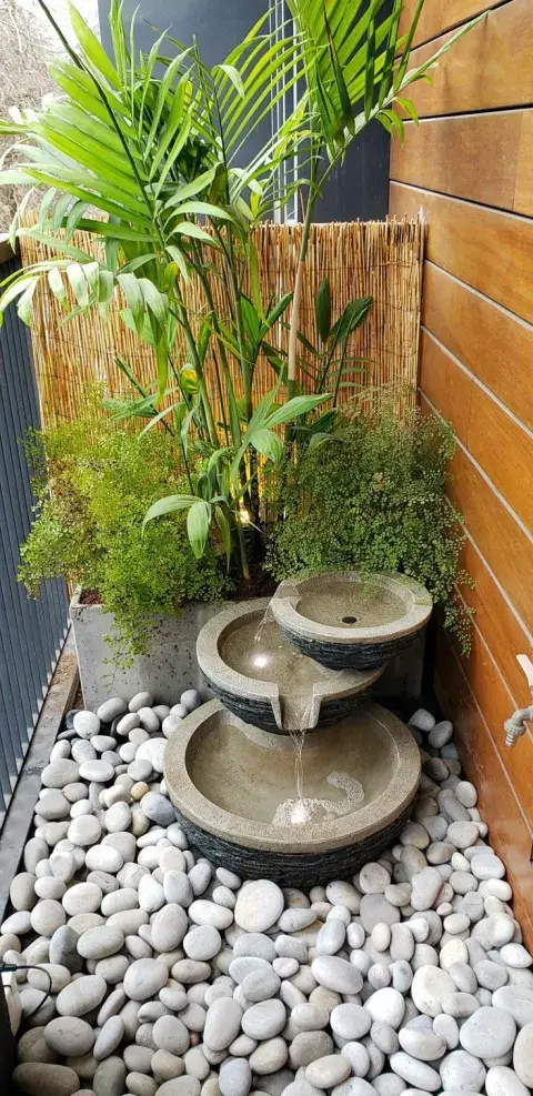 Foto de patio. Foto de patio.