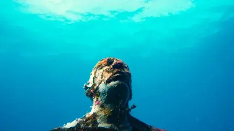 Documentales que te harán cambiar tu visión del mundo: InnSæi.