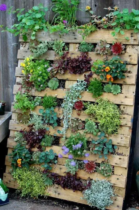 Foto de jardín vertical. Foto de jardín vertical.