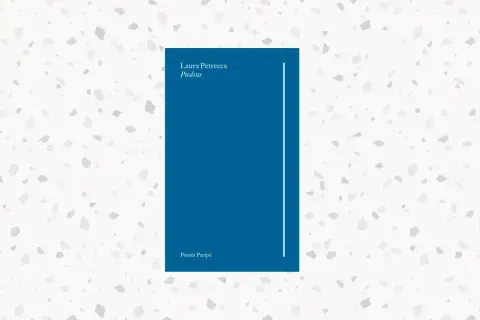 “Piedras", el nuevo poemario de Laura Petrecca. “Piedras", el nuevo poemario de Laura Petrecca.