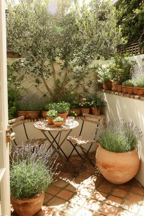 Foto de patio. Foto de patio.