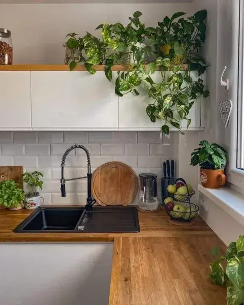Verde en la cocina: estas son las plantas ideales que resisten el calor y el vapor Verde en la cocina: estas son las plantas ideales que resisten el calor y el vapor
