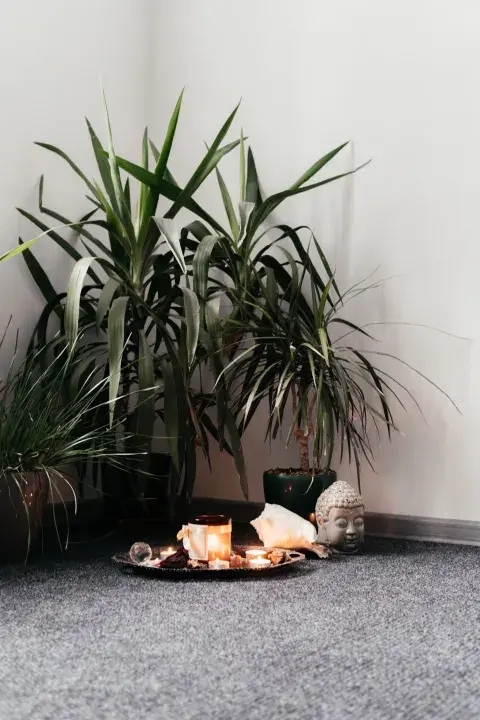 Foto de rincones de meditación, descanso y conexión. Foto de rincones de meditación, descanso y conexión.