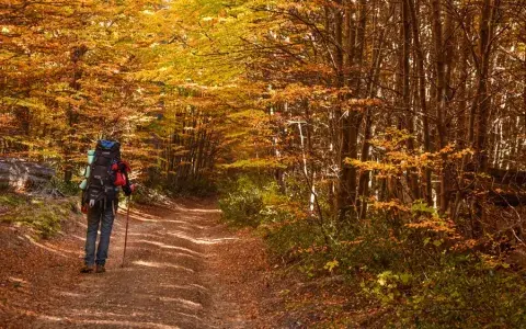 Trekking al Lago Bagillt Trekking al Lago Bagillt