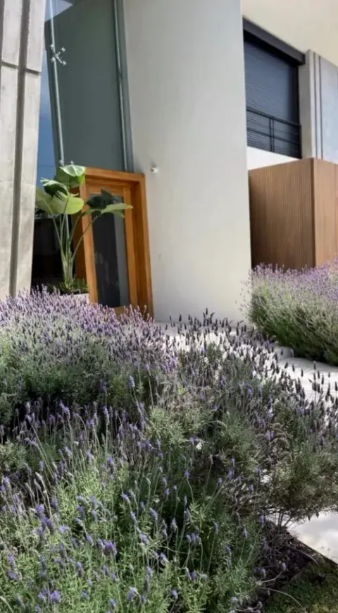Pampita mostró el jardín de su casa de Nordelta.