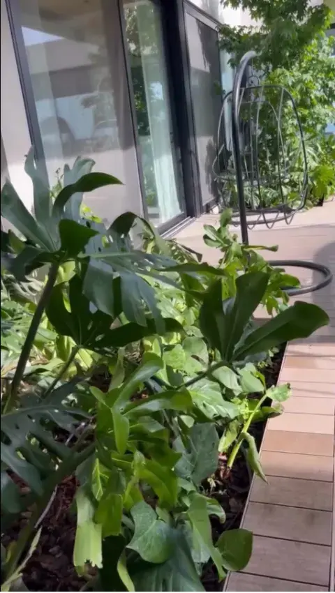 El jardín de Pampita: los detalles deco que completan el encanto.