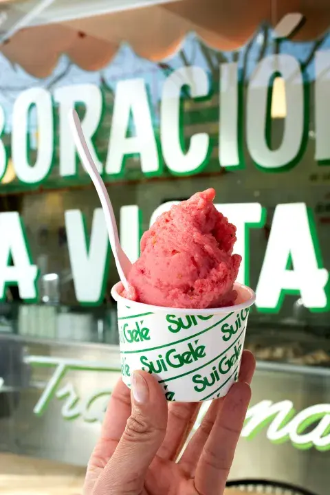 helado de Sui Gelé helado de Sui Gelé