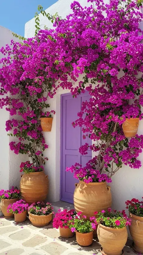 El árbol perfecto para sumar color en un mini patio o balcón