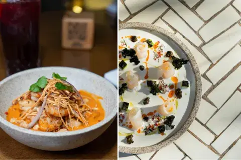 Un plato de ceviche y otro de tiradito de pescado Un plato de ceviche y otro de tiradito de pescado