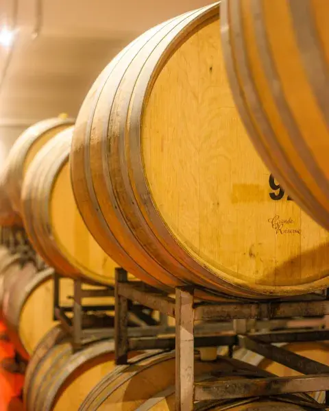Foto de bodega en Mendoza. Foto de bodega en Mendoza.