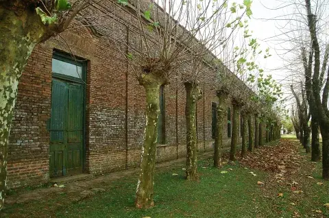 Escapadas en Buenos Aires: el pueblo ideal para disfrutar del campo y la calma