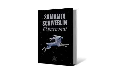 El buen mal, de Samanta Achweblin El buen mal, de Samanta Achweblin