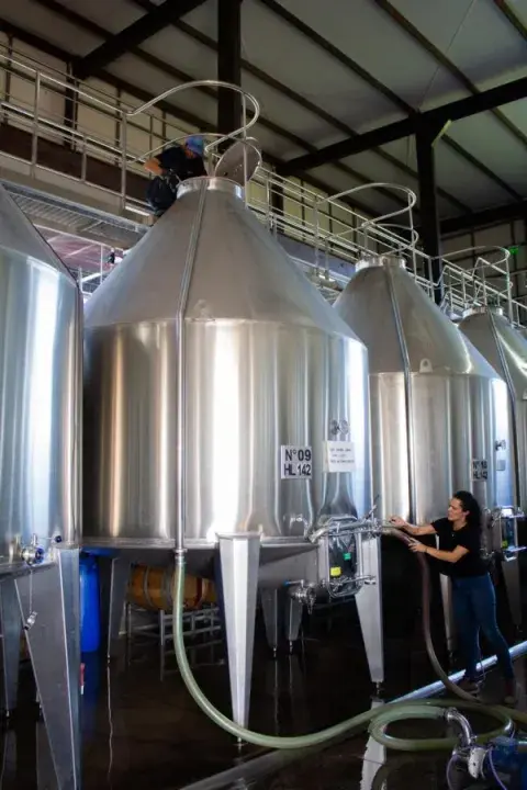La Ruta del Vino Pet Friendly: bodegas de Mendoza donde podés llevar a tu mascota La Ruta del Vino Pet Friendly: bodegas de Mendoza donde podés llevar a tu mascota