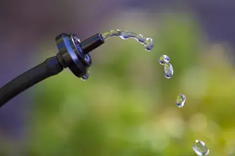 Cómo ahorrar agua: riego por goteo casero para balcones y jardines