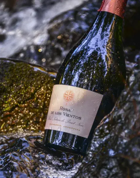  Rosa de los Vientos, de Familia Schroeder: 100 % Pinot Noir