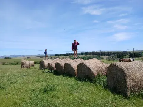 Se puede trepar a los fardos de granja Las Cavas, luego de visitar a las ovejas y dar de comer a los caballos. Se puede trepar a los fardos de granja Las Cavas, luego de visitar a las ovejas y dar de comer a los caballos.