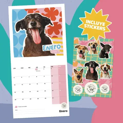 Calendario del proyecto 4 Patas.