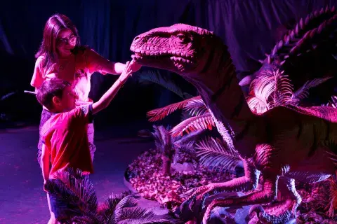 Era Cretácica regresa a Unicenter Era Cretácica regresa a Unicenter