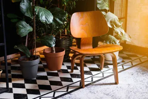 Foto de patio.